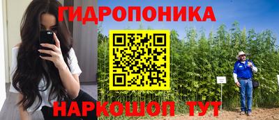 стафф Братск