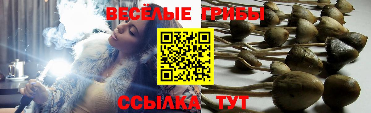 Псилоцибиновые грибы MAGIC MUSHROOMS Новый Уренгой